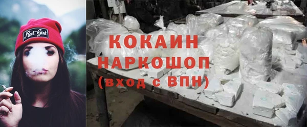 шишки Белоозёрский