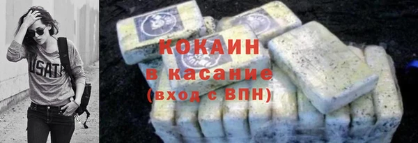 шишки Белоозёрский