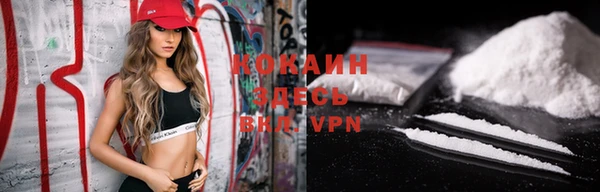шишки Белоозёрский