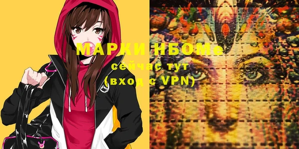 шишки Белоозёрский