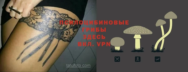 ПСИЛОЦИБИНОВЫЕ ГРИБЫ Белокуриха
