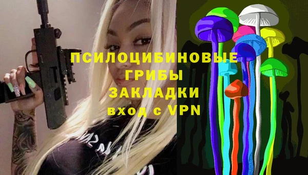 spice Беломорск