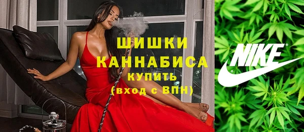 ПСИЛОЦИБИНОВЫЕ ГРИБЫ Белокуриха
