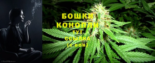 spice Беломорск