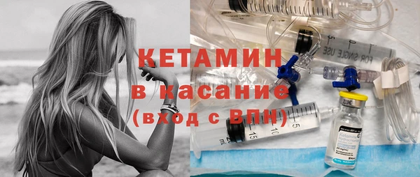 шишки Белоозёрский