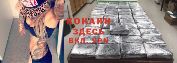 шишки Белоозёрский